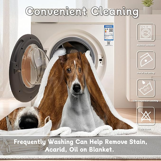 BlessLiving Basenji Throw Soft Blanket Sherpa Fleece Lined Blanket Pet and Dog Lovers Home Throw Blankets (Throw, 50 x 60 Inches)