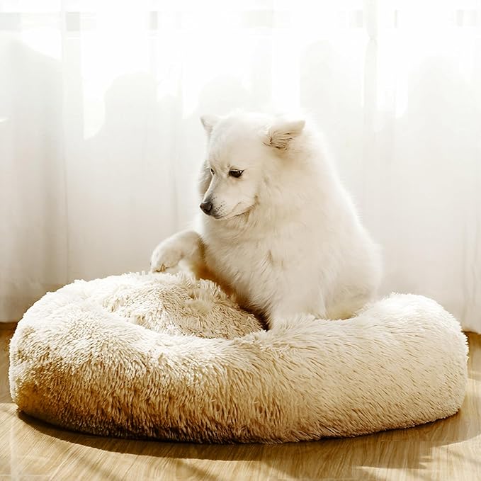 JEMA Calming Small Dog Beds for Small Dogs,Washable Donut Cuddler Pet Bed Cushions,Durable & Cozy Soft Dog Bed with Removable Pad 22 Inch