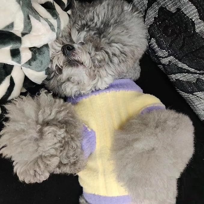 8 In 1 Cat Grooming Brushes for Short Hair, Cat Steam Brush, Bristle Shedding Brush, Flea Comb, Pet Grooming Glove, Dog Self Cleaning Brush for Short Haired Dogs Cats (short hair brush-blue)