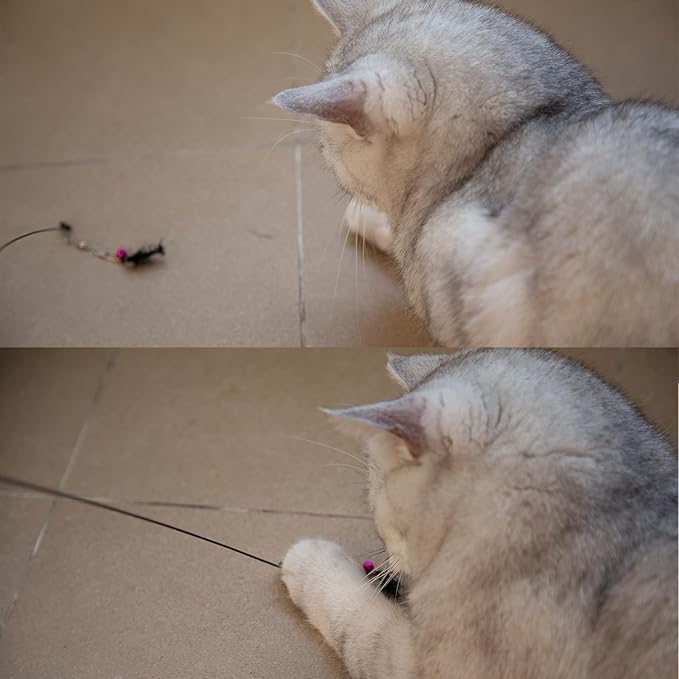 Cat Bug Toy, Cat Insects Toy Wand Refiils for Indoor Cats, 5 Pcs Cat Small Fly Toys with Bells for Cat Teaser, Feather Toys for Indoor Cats and Kittens Toys, Small Bugs Set