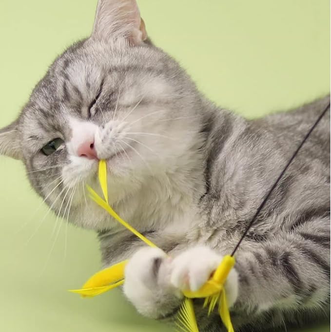 IUHKBH Cat Wands, 2 PCS Steel Wire Cat Feather Toys Long Pole Cat Teaser Wand with Bell Interactive Cat Toy for Cats and Kitties