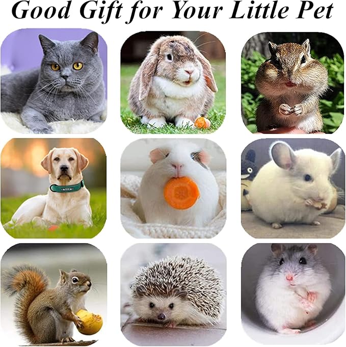 Cat Toys 12Pack Silvervine Chew Stick Kitten Treat Catnip Toy Kitty Natural Stuff Catnip for Cleaning Teeth Indoor Dental Snack Interactive