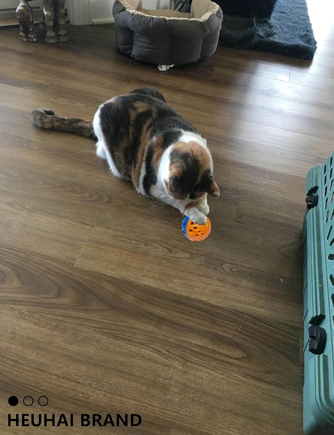 Cat Toys for Indoor Kittens Plastic Balls with Bells 10 Assorted Colors Ideal for Playtime Hunting Instinct Stimulation and Daily Exercise