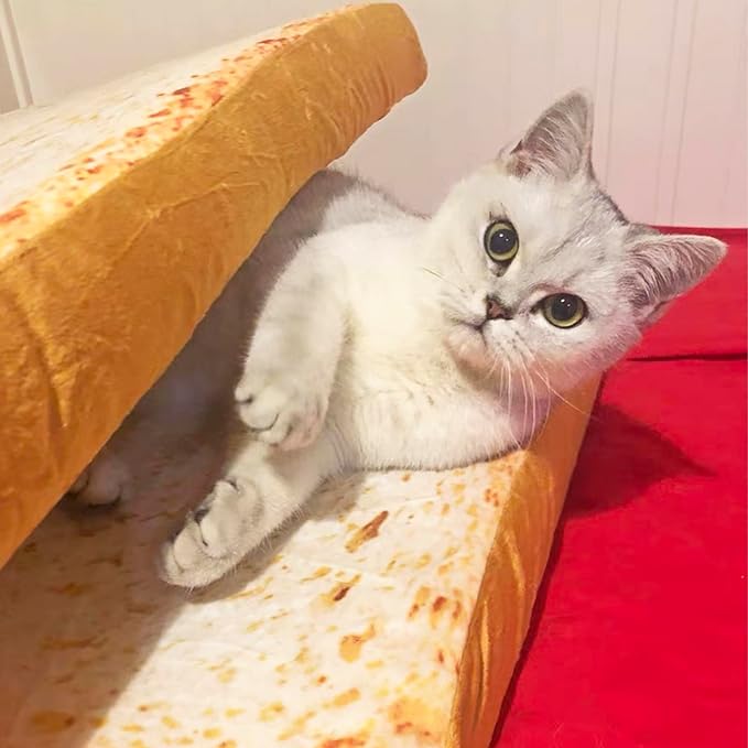 Gefryco Cat Beds for Indoor Cats, Pet Mats Cushion for Cat and Small Dogs Creative Toast Bread Slice Mattress (Sponge Core)