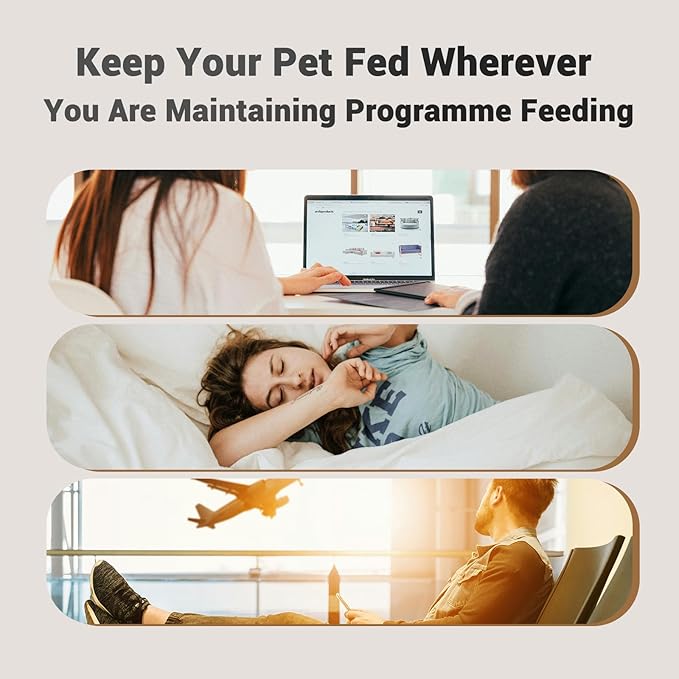 Automatic Cat Feeder: 4L Timed Cat Food Dispenser Programmable 1-6 Meals for Cat and Small Medium Dog- Auto Pet Feeder Easy to Set Up Dual Power Supply with Desiccant Bag| Detachable Washable