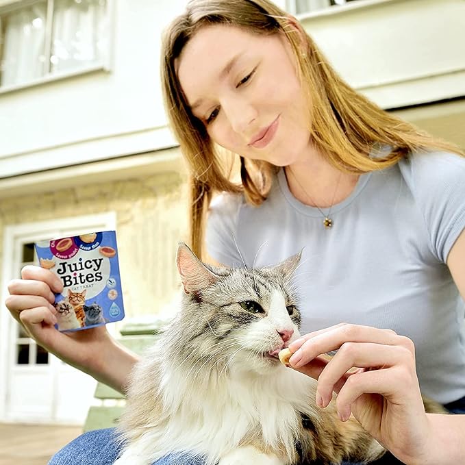 INABA Juicy Bites Grain-Free, Soft, Moist, Chewy Cat Treats with Vitamin E and Green Tea Extract, 0.4 Ounces per Pouch, 9 Pouches (3 per Pouch), Scallop and Crab Flavor