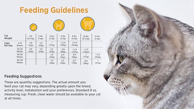 Blackwood Pet Food 22340 Kitten Food, Chicken Meal & Brown Rice Recipe, 6kg.