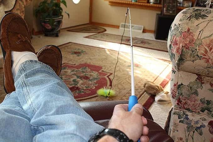 Pet Fit For Life Retractable Interactive Cat or Kitten Wand with 2 Feathers and 1 Soft Furry Combo