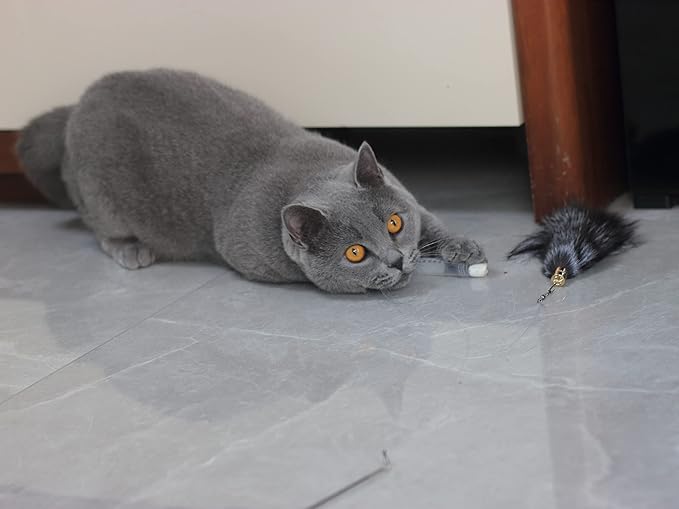 Fosrion Real Raccoon Tail Fur Cat Bites Toy with Three Section Retractable Carbon Fiber Rod (Raccoon) (3 Fox Fur Piece, Only Tail)