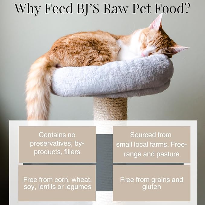 BJ's Raw Pet Food Freeze Dried Complete Premium Cat Mix Protein Rich Nutritious Meal for Optimal Health Made in USA, 4-Ounce