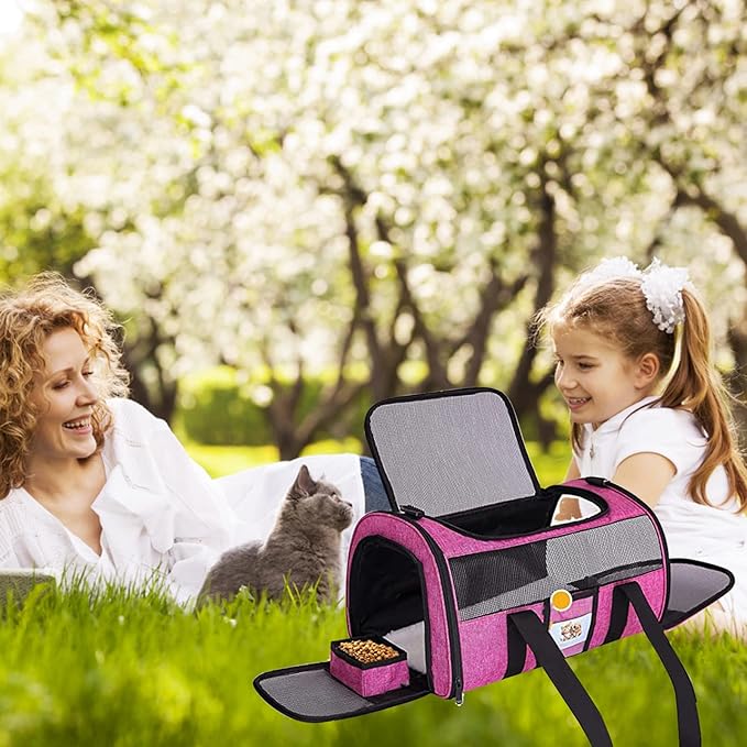 20" Large Pet Carrier Soft Sided Cat Carriers for Large Cats Under 25 lbs, Folding Big Dog Carrier Cat Carrier for 2 Cats Travel Carrier, Red