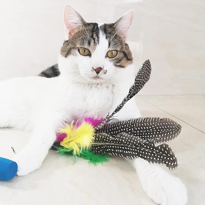 Cat Feather Toys Refills Da Bird Feather Cat Toy, 8 PCS Natural Da Bird Feathers Refill, Cat Wand Replacement Feather for Cat Toys (D)