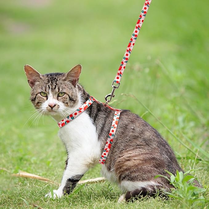 azuza Cat Harness and Leash Set for Safe Walking and Travel, Escape Proof Cat Harness, Lightweight Soft and Comfortable, Adjustable Kitten Harness for Small Medium Large Cats, Red Geometry
