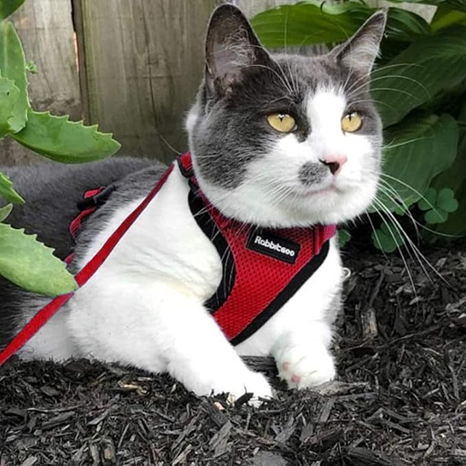 rabbitgoo Cat Harness and Leash for Walking, Escape Proof Soft Adjustable Vest Harnesses for Cats, Easy Control Breathable Reflective Strips Jacket, Red, S