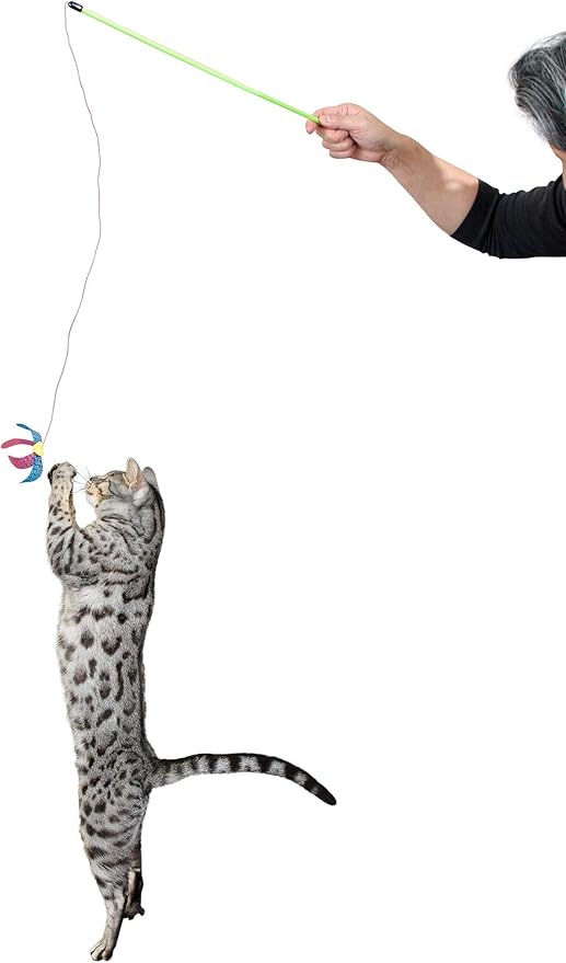 RompiCatz Rustlin' Mylar Teaser String Wand and Interactive Cat Toy, Winged Bug