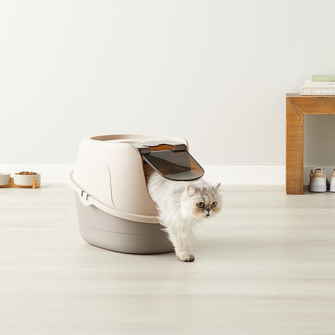 Amazon Basics No-Mess Enclosed Hooded Cat Litter Box, Standard, Multicolor, 21 in x 16 in x 15 in