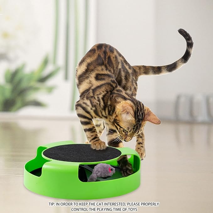 FYNIGO Replaceable Interactive Cat Toy Mouse for Indoor Cats and Kittens,Uncatchable Spinning Mice and Scratching Pad,Hunting Chasing and Exercising,Cat Scratcher Catnip Puzzle Toy,Green