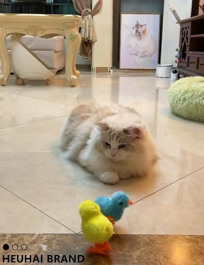 Kitten Toys, 31 Pcs Kitten Toy Pack for Indoor Kittens, Interactive Small Cat Toys to Keep Them Happy & Entertained