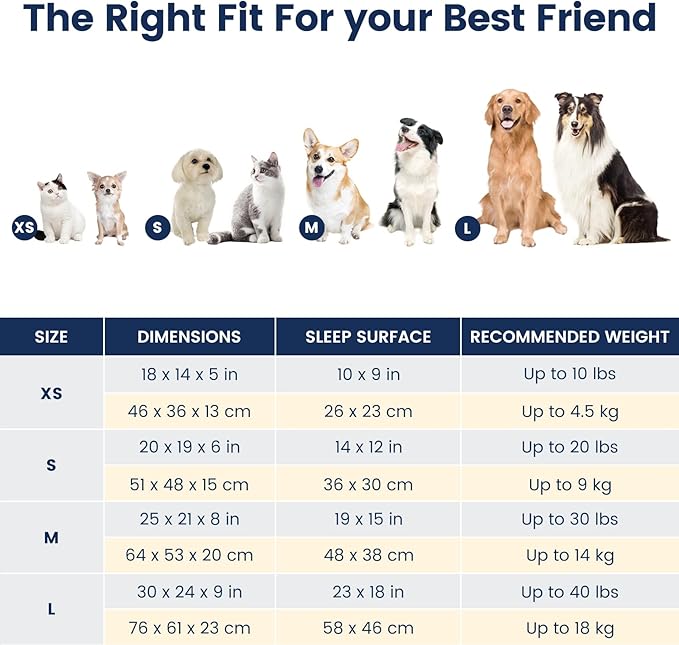 Miguel Washable Cat Beds for Indoor Cats with Removable Cushion, Easy to Wash Small Pet Sofa Bed with Side, Rectangle Bolster Kitten Bed Calming Cuddle Puppy Bed with Anti-Slip Bottom, Brown 20 Inch