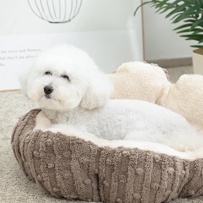 Hollypet Cozy Cat Beds for Indoor Cats - Cute Cactus Pet Beds, Fluffy Puppy Bed, Non-Slip Extra Small Dog Bed, Brown