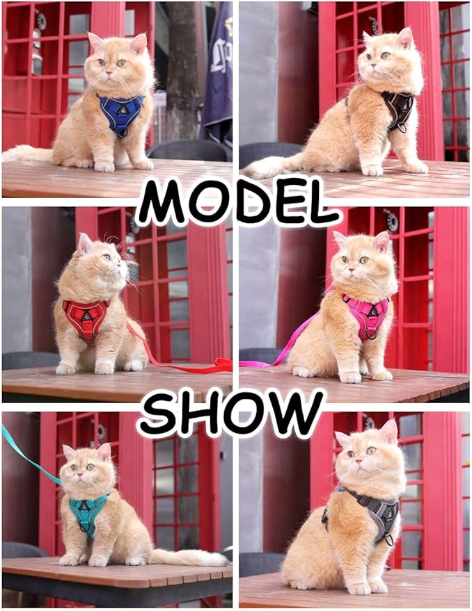 Vest Harness Leash Set for Small Dog Large Cat, Upgraded Escape Proof Adjustable Jacket with Lead for Puppy Fat Cat Outdoor Walking, Soft Breathable Mesh Coat with Reflective Strip XL Blue