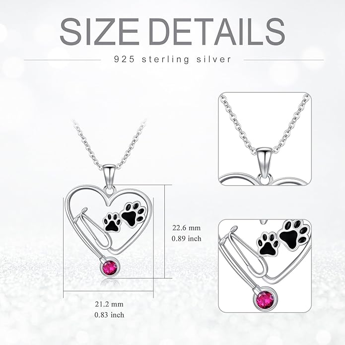 Birthstone Veterinary Stethoscope Necklace 925 Sterling Silver Nurse Vet Pendant with Dog Paw Nurse Jewelry Gifts for Veterinarian Nurse Women Veterinarian Gifts