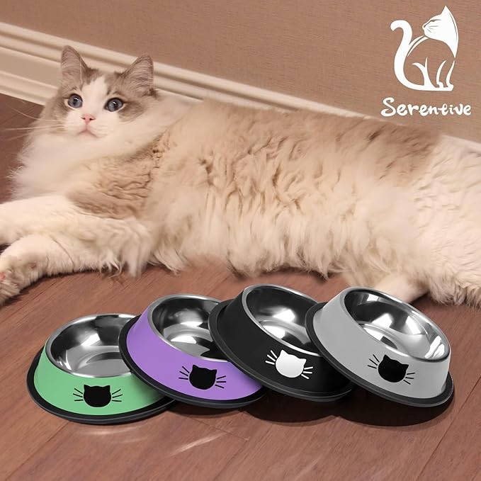 2Pcs Cat Bowls Non-Slip Stainless Steel Small Cat Food Bowls Unbreakable Thicken Cat Feeder 13 Oz Cat Dishes Suitable for Indoor Small Pets Removable Rubber Base Easily Clean Lovely Color