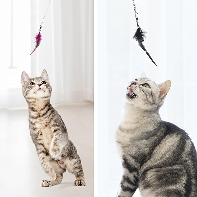 SONGWAY Cat Feather Toy Refills - 12 Pieces Insect Cat Toys with Feather, Cat Toy Wand Replacement, Cat Teaser Wand Attachments, Interactive Cat Toys for Indoor Cats