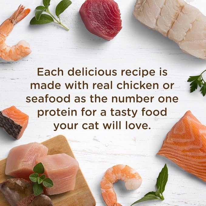 Nutrish Rachael Ray Natural Wet Cat Food, Paw Licken' Chicken & Liver Recipe, 2.8 Ounce Cup (Pack of 24), Grain Free