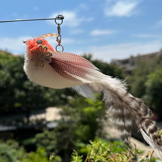 Cat Wand Toy, 6 PCS Cat Wand Bird Feather Toy, Interactive Cat Feather Toy Bird for Indoor Cats Play Exercise
