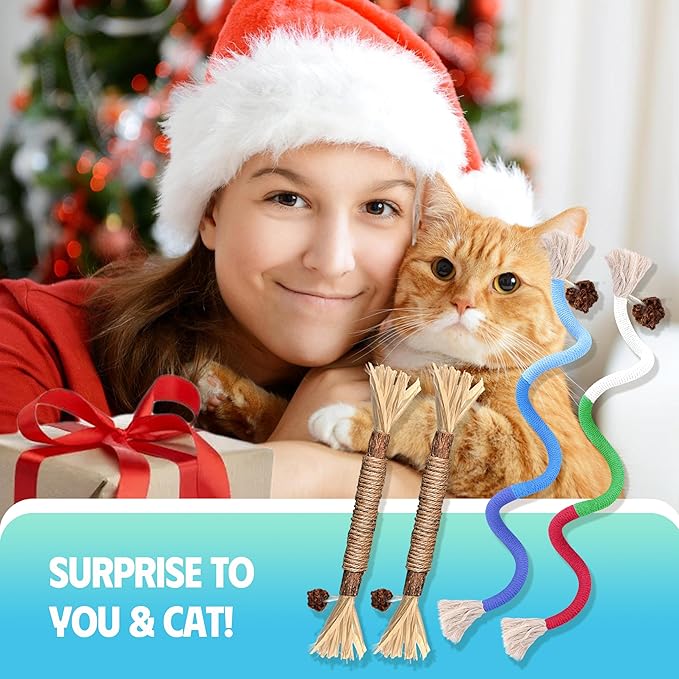 4 Pcs Cat & Kitten Chew Toy, Cat Toys Chew Ropes and Silvervine Cat Chew Sticks with Refillable Natural Catnip Bag for Teeth Cleaning, Safe Interactive Cat Toys for Indoor Cats