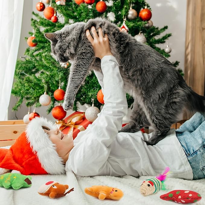 12Pcs Christmas Stocking Cat Toys, Xmas Cat Toys Set with Catnip Plush Toy, Mice Feather Toys, Cat Wand, Pet Supplies for Kitten Toys Interactive Play Indoor Cats Christmas Decorations