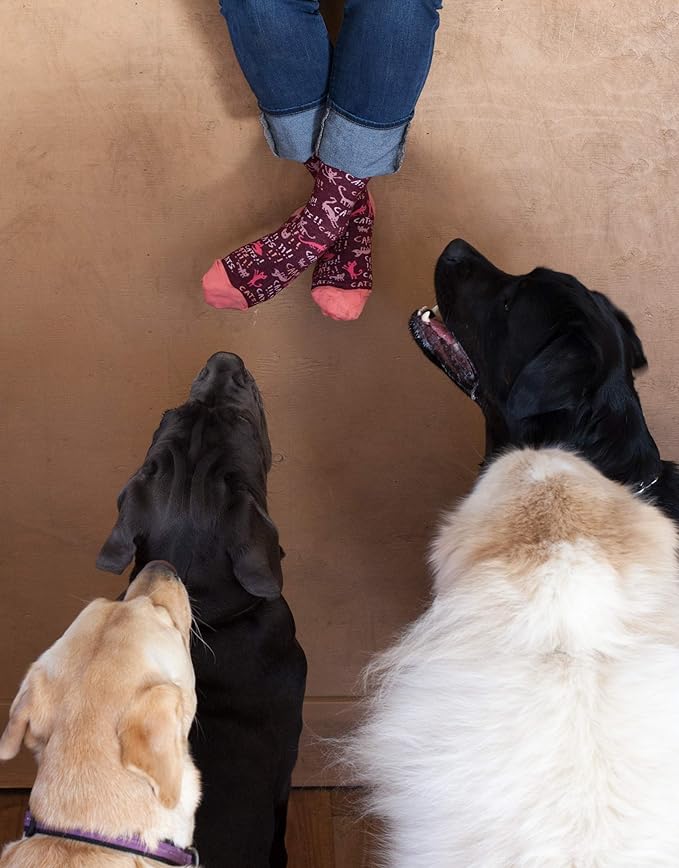 Blue Q Women's Funny Novelty Crazy Crew Socks with Sayings