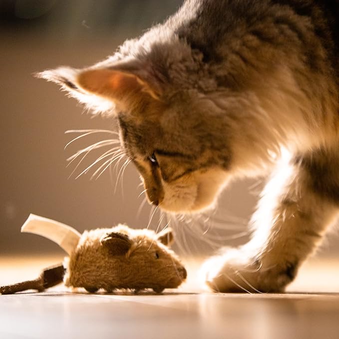 Suhaco Cat Toys Interective Automatic Moving Mouse Kitten Toys with Real Mice Sound Electric Squeaky Random Moving Kitty Toys for Indoor Cats Chasing Self Play Fun Cat Toy for Boredom