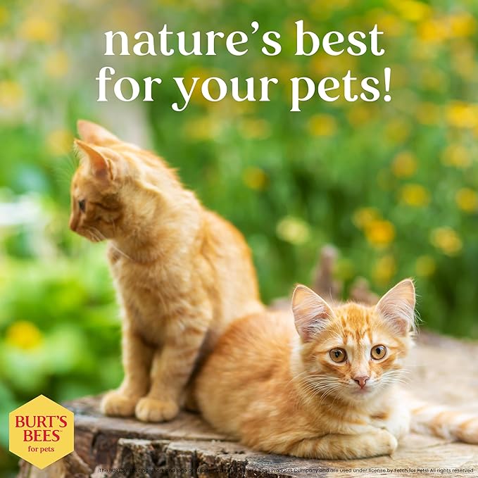 Burt's Bees for Pets Tearless Kitten Shampoo with Buttermilk, 6pk, 99.3% Natural Origin Formulas, Pet Shampoo for Cats, Gentle Cat Shampoo, Cat Shampoo for Itchy Skin, 6pk, 10 oz