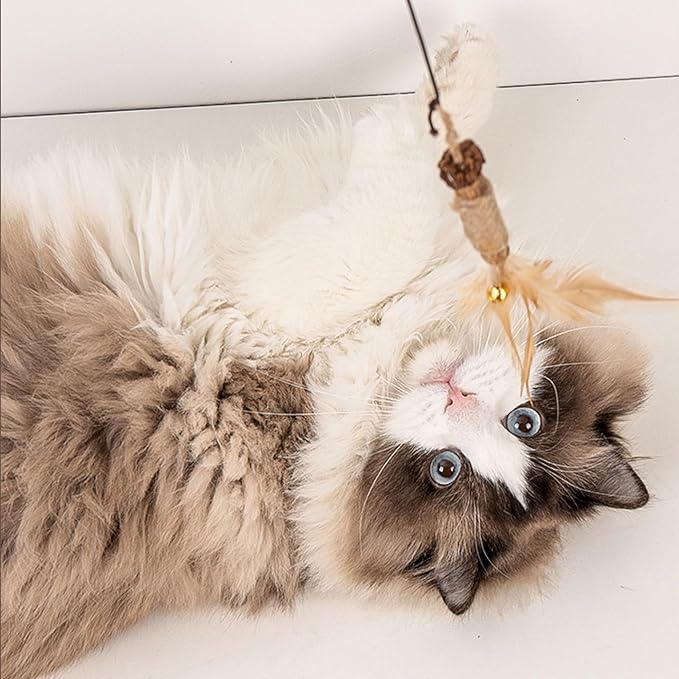 Cat Feather Toys Refills Cat Wand Replacement 6Pcs,Cat Teaser Wand Refills with Feather and Silvervine Sticks for Indoor Cat Chew Toy,Interactive Cat Wand Toy Refills