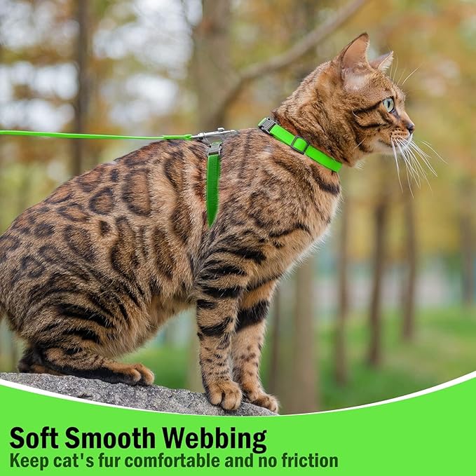 PUPTECK Adjustable Cat Harness and Leash Set Escape Proof Kitten Strap Collar for Walking Travel, Green, M