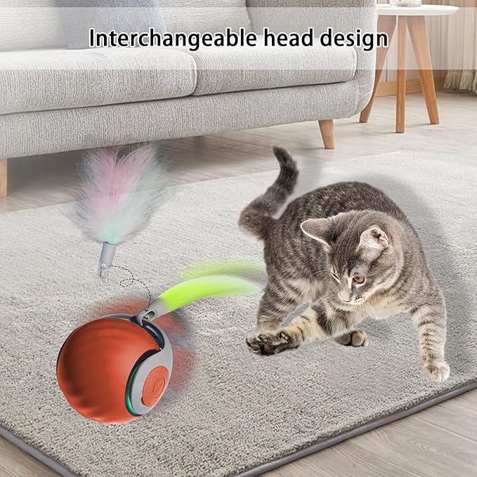 Interactive Cat Toy Ball, Automatic Moving Cat Ball Toy with Feather Tail, Indoor Smart Cat Toys, Motorised Cat Toys for Chasing & Hunting