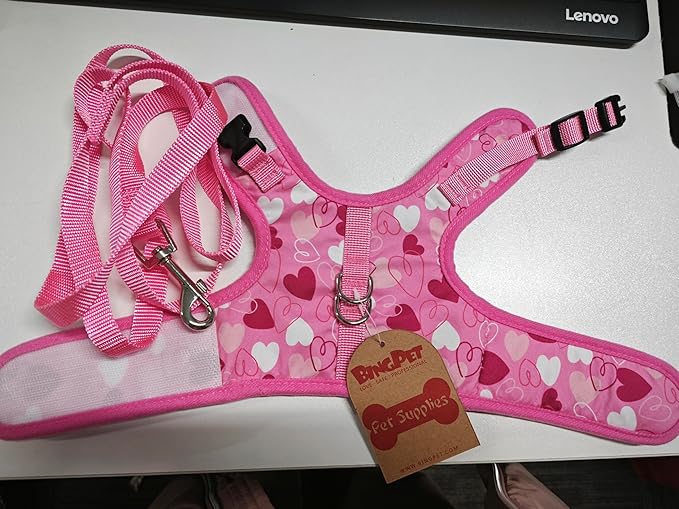 BINGPET Cat Harness and Leash Set Escape Proof for Walking,Step-in Harness with Lightweight Soft Breathable Mesh,Adjustable Easy Control Harness for Kitten Puppy Small Medium Large Cats(Heart,L)