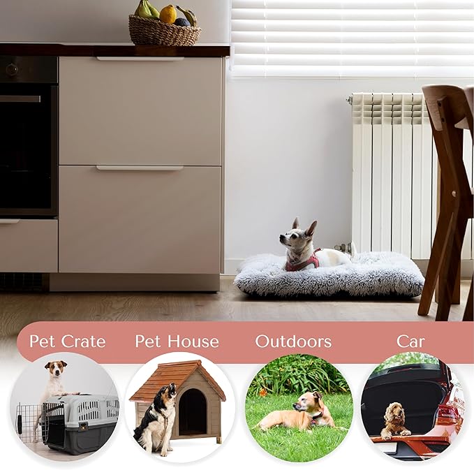 Washable Dog Cat Bed, Washable Pet Bed, Cat Beds for Indoor Cats, Dog Bed Medium Size Dog, Small Dog Bed, Comfortable Bed for Dogs and Cats (Small 25L x 19W x 5Th inches)