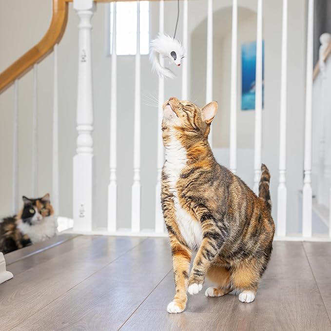 SPOT Ethical A-Door-Able Bouncing Mouse Cat Toy , Assorted Colors,Medium Breeds