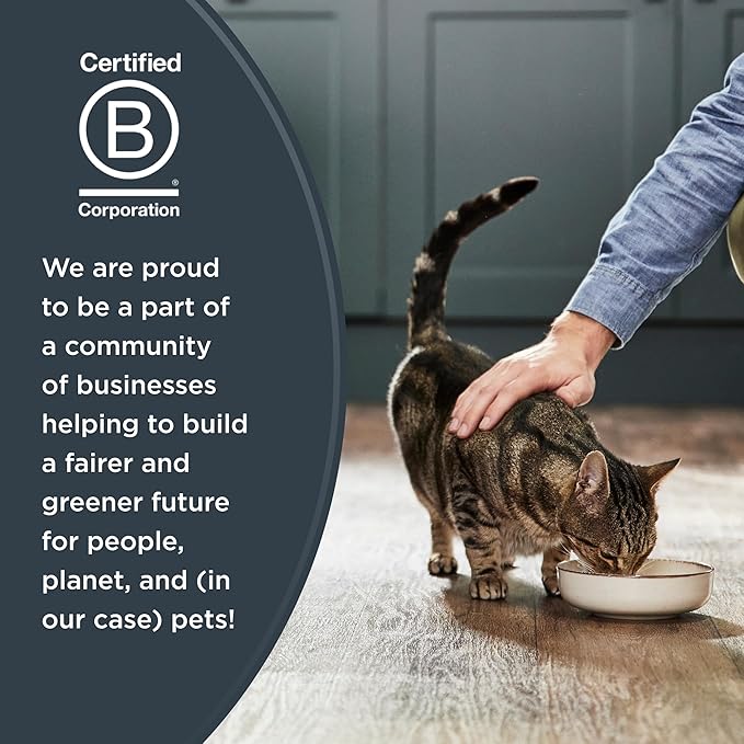 Reveal Natural Wet Cat Food, 12 Count, Grain Free, Limited Ingredient Cat Food Pouches, Tuna with Sea Bream in Broth, 2.47 oz Pouches