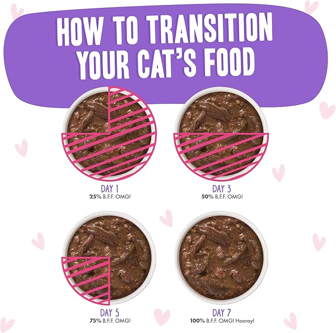 Weruva B.F.OMG - Best Feline Friend Oh My Gravy!, Tuna & Beef Baby Cakes with Tuna & Beef in Gravy Cat Food, 3oz Pouch (Pack of 12), Purple (0152)