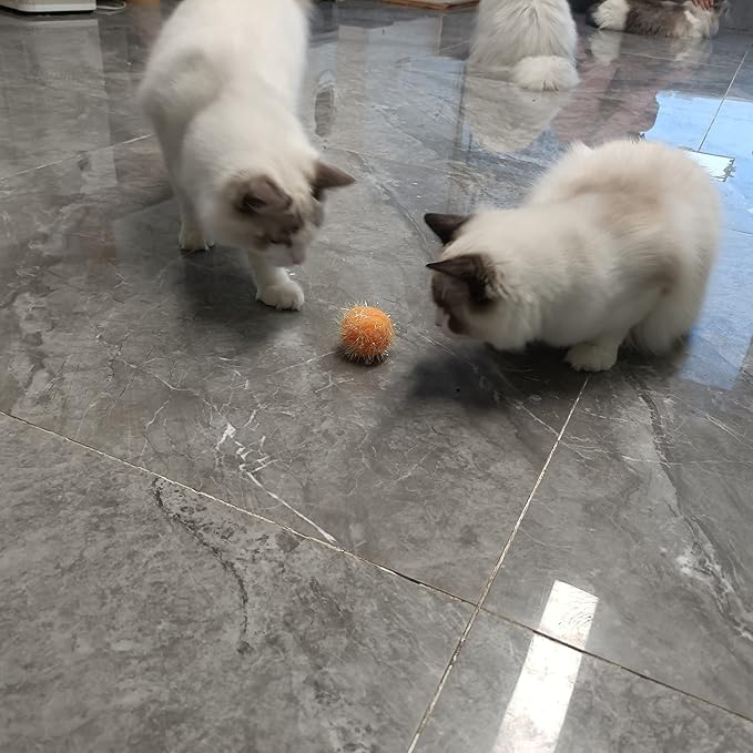 Cat Toy Balls 2 Inch Pom Pom Sparkle Ball Cat’s Favorite Toys Assorted Color Tinsel Glitter Fuzzy Balls 16 Pcs