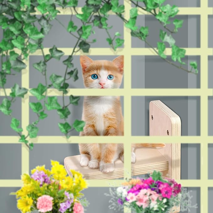 Wall Mounted Stairs for Cats, Cat Wall Mounted Shelves Board, Kitten Wall Ladder Climber Wooden Cat Wall Shelf Set Float, Cat Scratching Post Steps Cat Perch for Climbing Playing Lounging