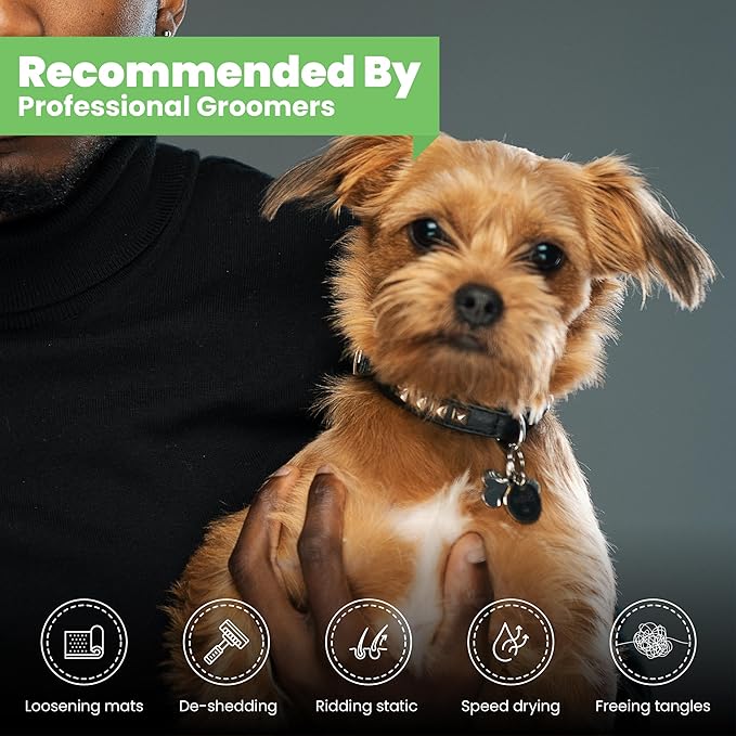 Best Shot Ultra Dirty Plenish Conditioner, Ideal Pet Grooming Conditioner, Protein-Enriched Moisturizing Conditioner for Dogs, Cats, and Horses, Agree Fragrance, 1 Gallon