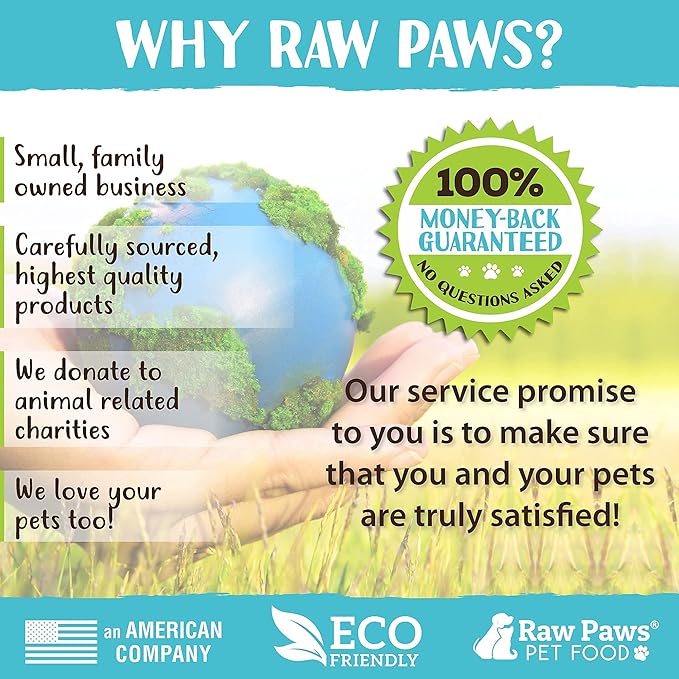 Raw Paws Grooming Brush, 1 ct - Hand-Held Rubber Tipped Pin Brush for Dogs & Cats - Dog Pin Brush - Dog Brush for Shedding - Bath Brush for Dogs with Short Hair & Long Hair - Dog Grooming Brush