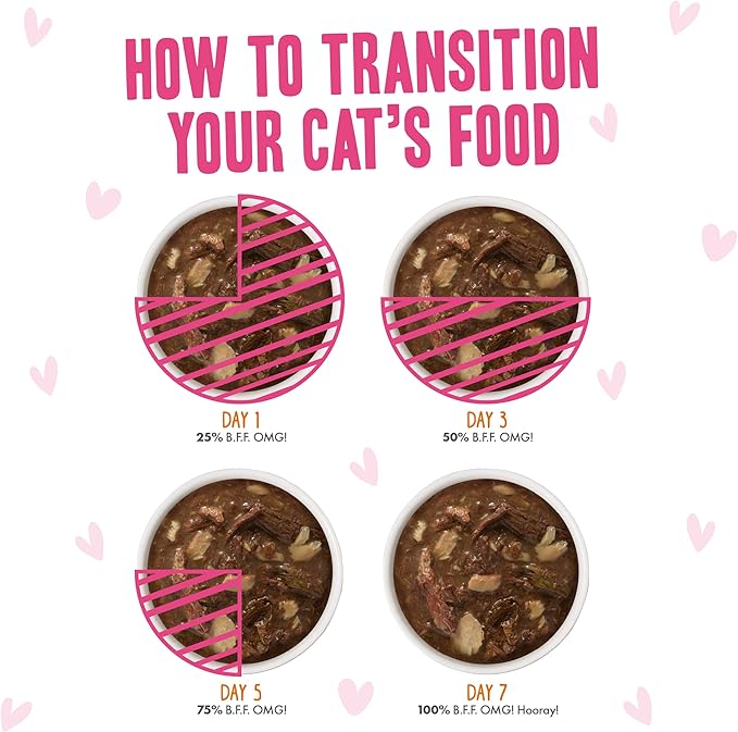 Weruva B.F.F. OMG - Best Feline Friend Oh My Gravy!, Rainbow A Gogo Variety Pack! Cat Food, 3oz Pouch (Pack of 12)