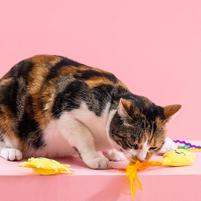 Fringe Studio Plush Cat Toy Set, Purr-FECT Weather, Mini 3 Piece Set, Pet Shop Collection (904032)