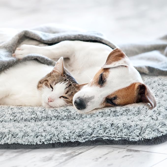 Self Warming Cat Bed for Indoor Cats & Small Dogs, Cozy Thick Cat Mat Bed Self Heating Pad for Cold Weather, Washable Fluffy Calming Bed Cushion Sleeping Relaxing Playing